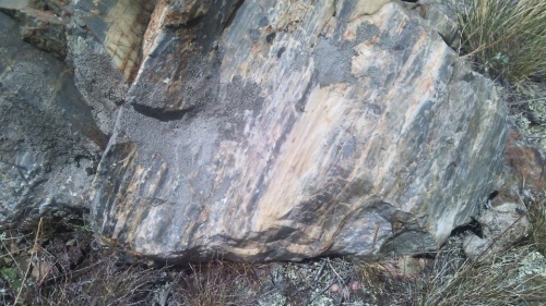 Гигантские зелёные валуны для ландшафтного дизайна весом более 5 тонн купить в Трёхгорном