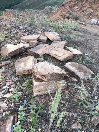 Плитняк кора дерева 50-100мм для пошаговых дорожек купить в Трёхгорном